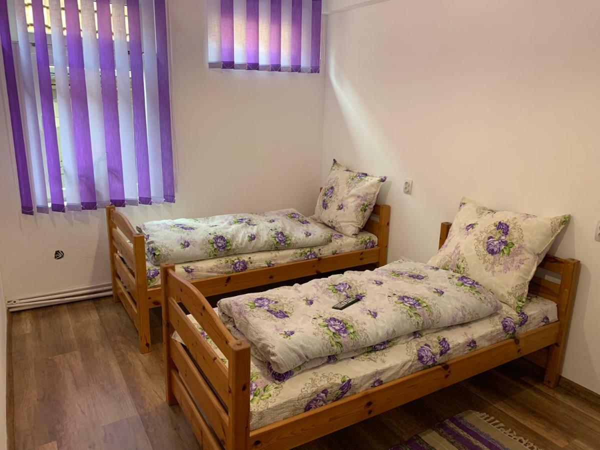 Pensiunea Casa Maria Kluż-Napoka Zewnętrze zdjęcie
